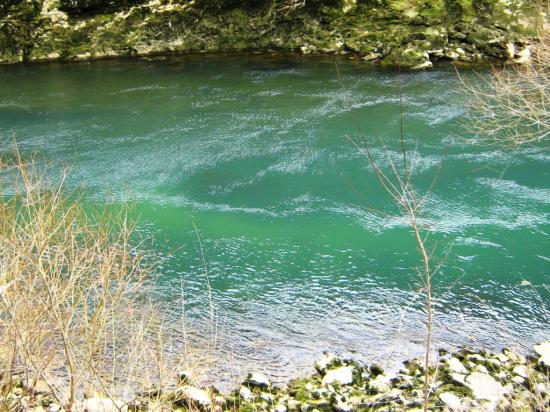 A Vrbas szine